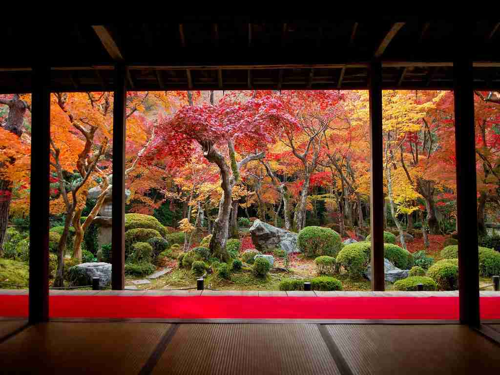 目の保養画像!☆彡