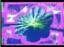 カリキュラマシーン　OP - YouTube