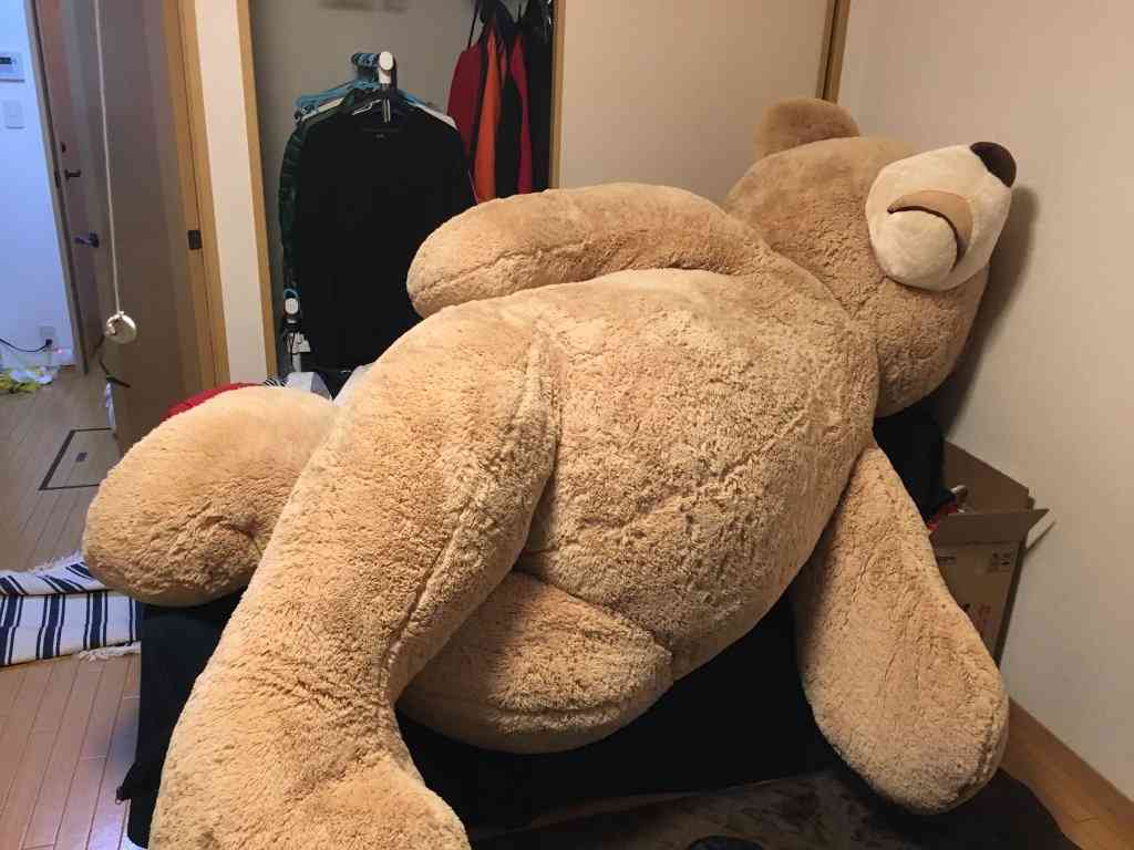 【画像】コストコでクマのぬいぐるみを買ったら、持ち帰り方がこれしかなかった(笑)