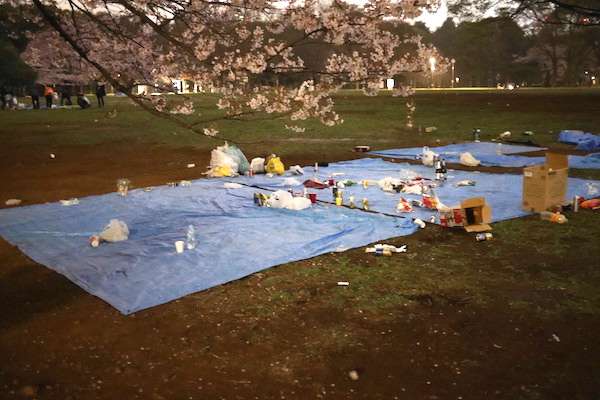 花見の後の惨状　代々木公園の「ゴミ放置」がヒドい