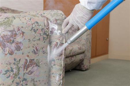 強烈にかゆくなる「スーパー南京虫」大手清掃会社も駆除に本腰