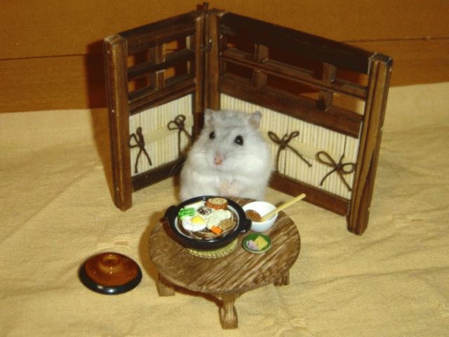 和食を貼ろう