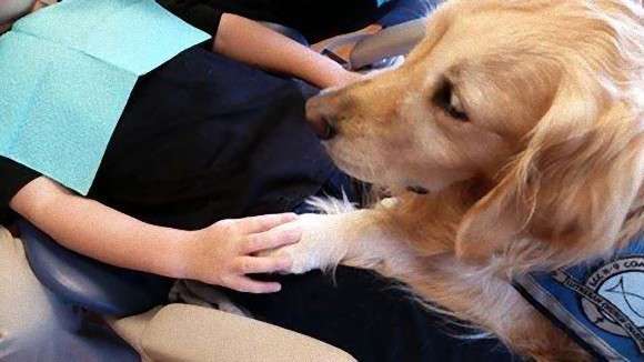 ただの看板犬ではない。ある歯医者にこの犬が勤務している理由に感心する