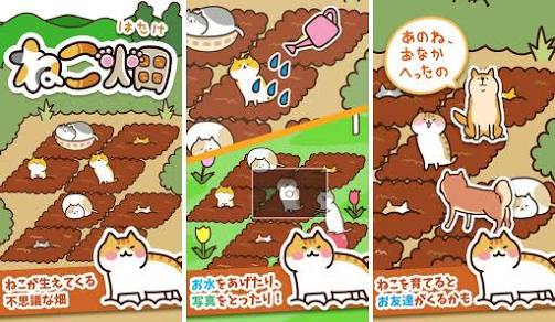 一々近況報告するトピ