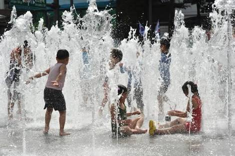 日本の夏を感じさせる画像