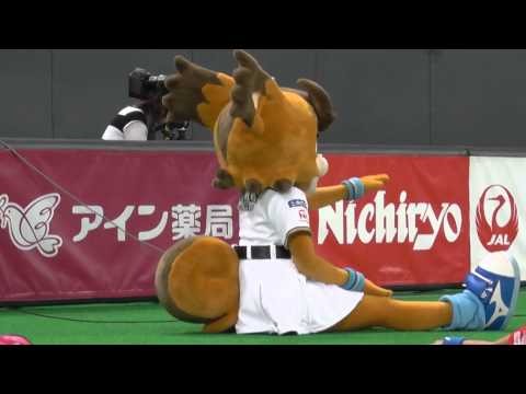 「しっぽが デカくて 寝れない」と申告するポリーさん@札幌ドーム 2014.08.02 - YouTube
