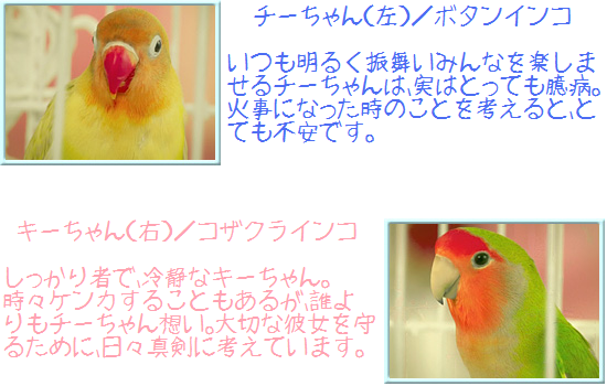 好きなキャラクターは？