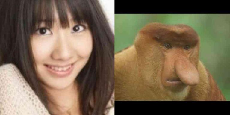 芸能人・有名人に似た動物