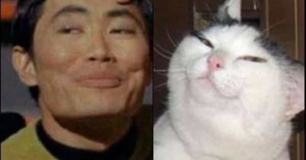 芸能人・有名人に似た動物