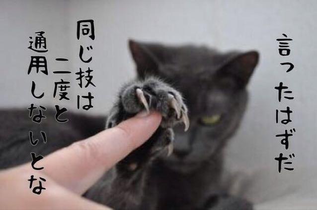LINEで使えそうな画像