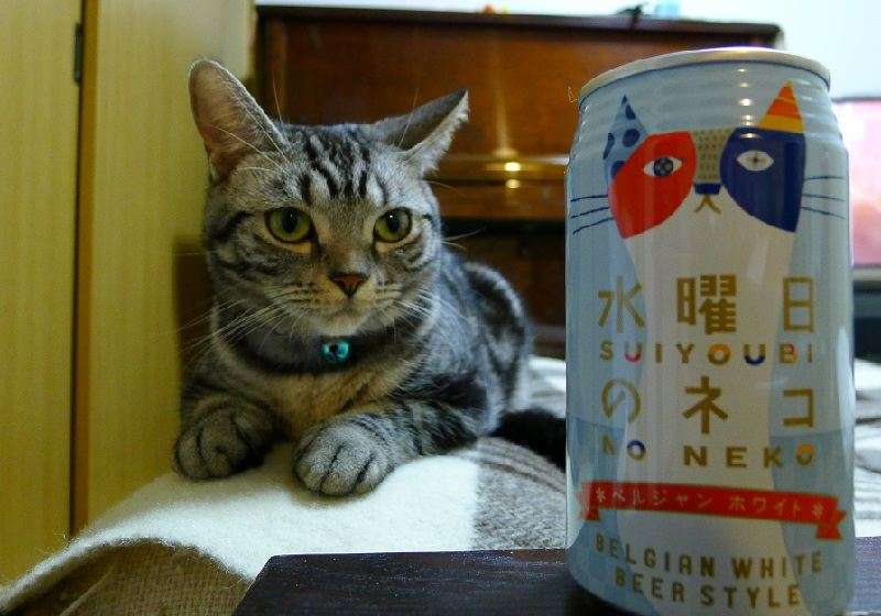 GW飲んだくれ部!
