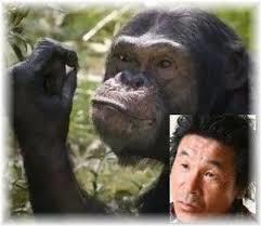 芸能人・有名人に似た動物