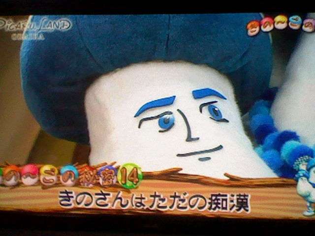 スギちゃんみたいに喋りながら梅雨を迎えるぜぇ〜