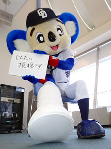 プロ野球マスコットキャラクター達のおもしろ画像