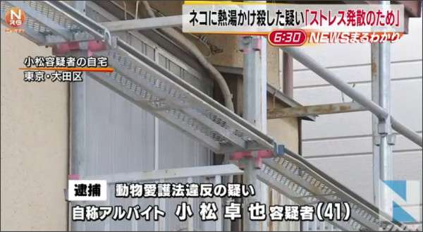 ネコに熱湯かけ殺した疑いの男逮捕「ストレス発散のため」