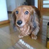 無題｜イメピク 携帯 iPhone Android 対応画像アップローダー