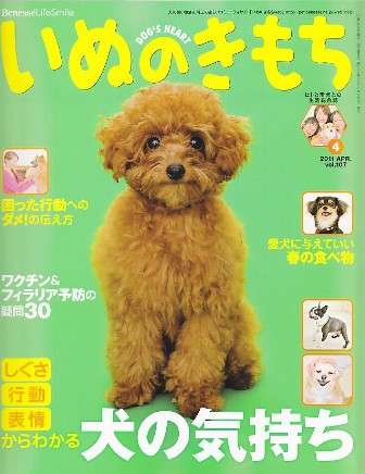 犬、猫の鬱病について。
