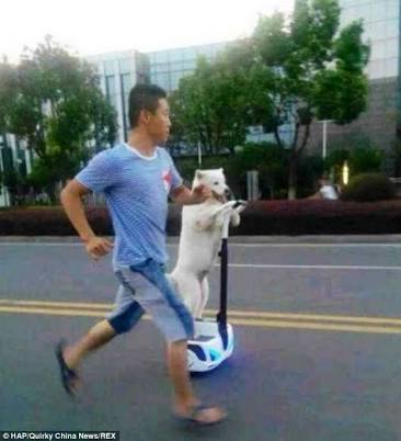 画像を貼りつつ雑談するトピ