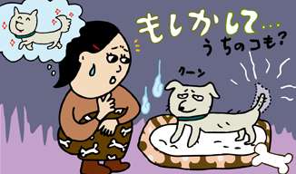 犬、猫の鬱病について。