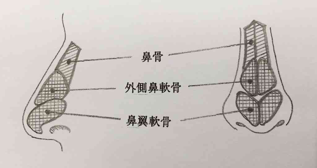 鼻の整形したことある人