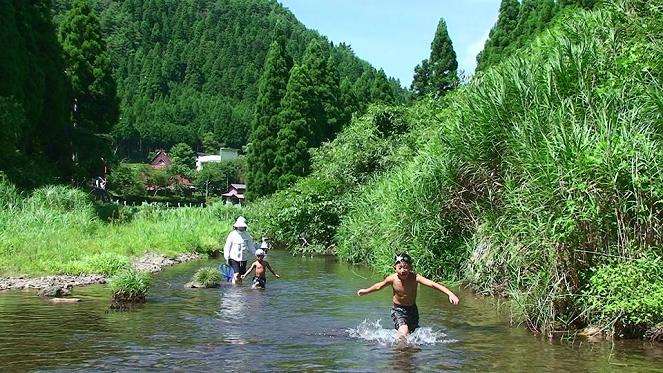 日本の夏を感じさせる画像
