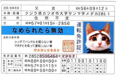 かつてブームになったものを挙げるトピ