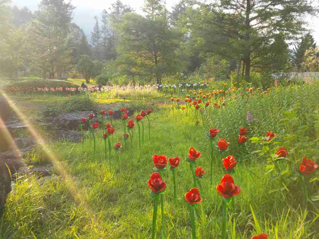 長野県のオススメ