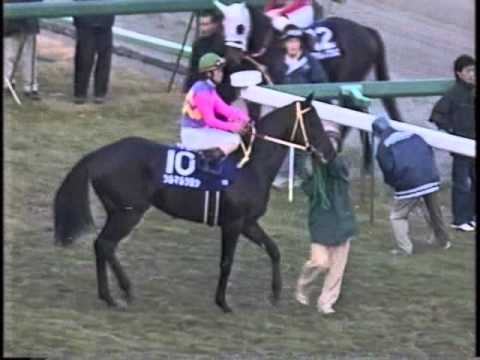 1999　有馬記念　本馬場入場 - YouTube