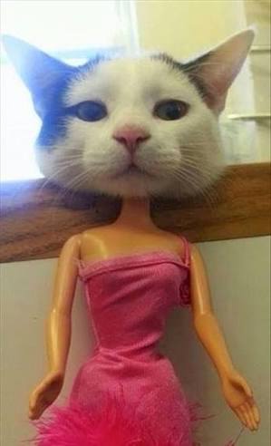 動物画像を貼って運動会開催するトピ
