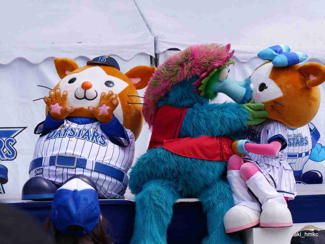 プロ野球マスコットキャラクター達のおもしろ画像