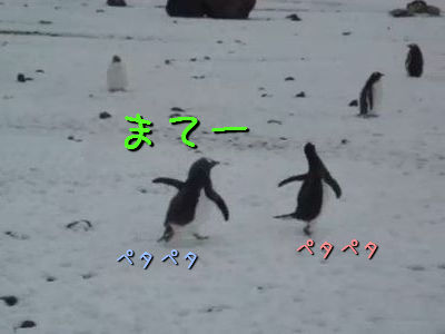 動物画像を貼って運動会開催するトピ