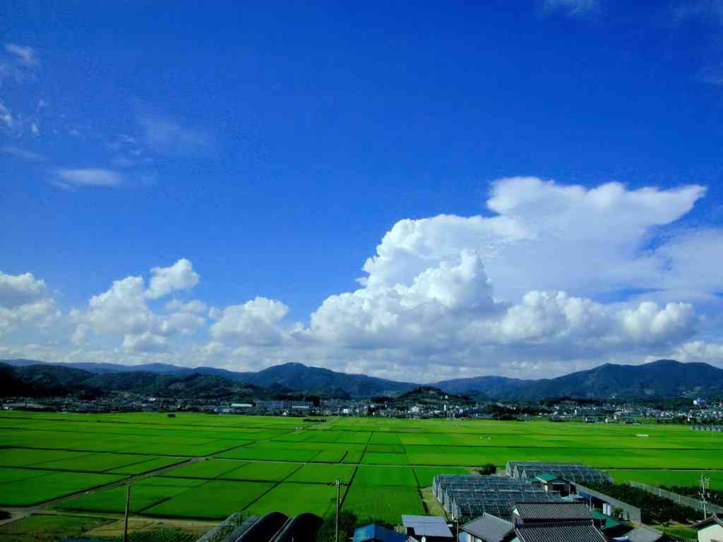 日本の夏を感じさせる画像