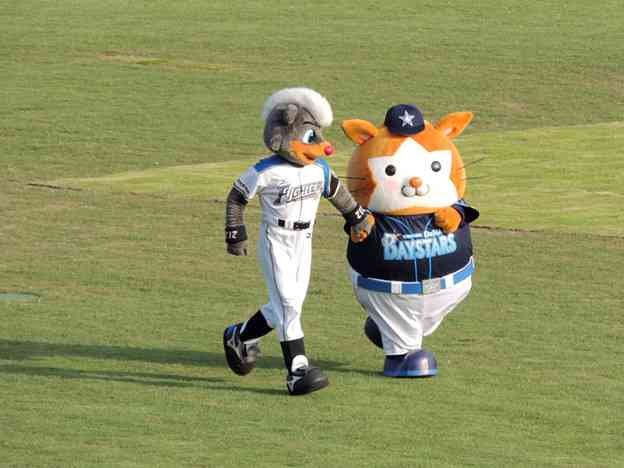 プロ野球マスコットキャラクター達のおもしろ画像