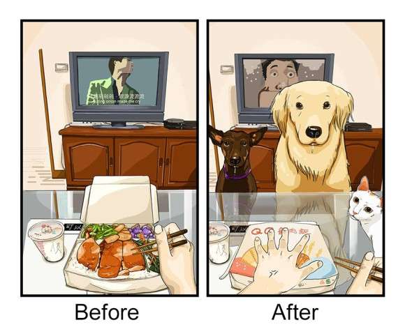 ペットを飼って変わったこと