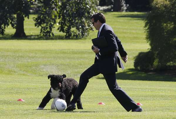 オバマ大統領が愛犬ボーとおもいきり遊ぶ様子が人間臭くて素敵 | ANIMALive