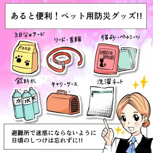 災害時には犬猫ペットと同行避難！役立つ防災グッツなど【動物漫画】 | ANIMALive