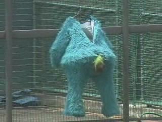 プロ野球マスコットキャラクター達のおもしろ画像