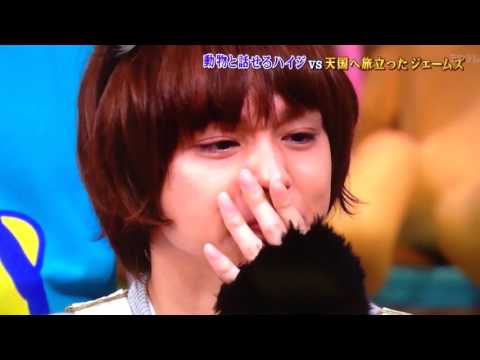 志村どうぶつ園 伊野尾君涙…ホントその通りだね(._.) そして優しい相葉先輩♡ - YouTube