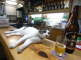 GW飲んだくれ部!