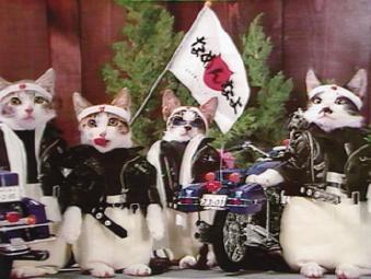 一世風靡したものと言えば？