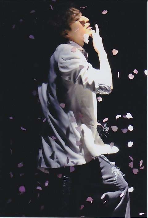 【30歳以下】若手ジャニーズで好きな人は?