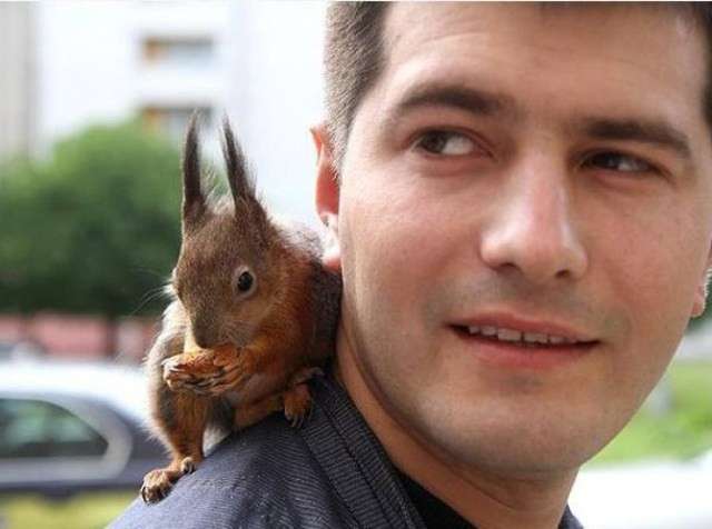 【画像】リスの画像が集まるトピ【動物】