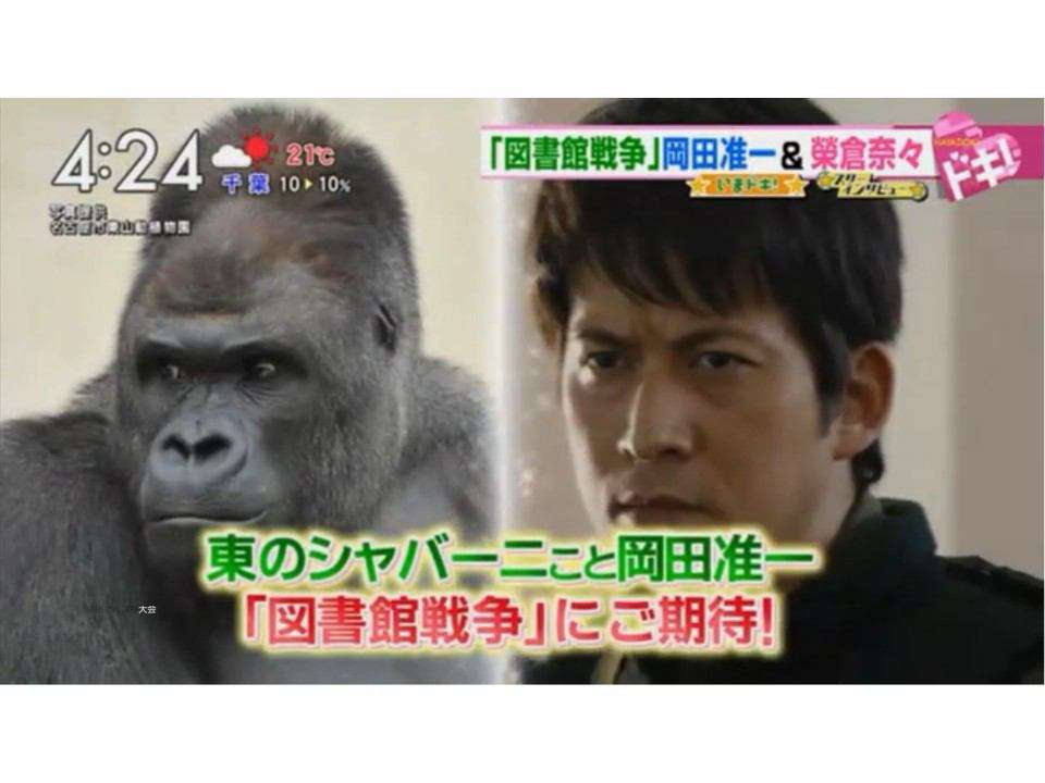 芸能人・有名人に似た動物