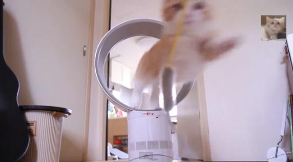 動物画像を貼って運動会開催するトピ