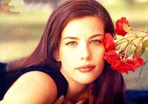 【画像】ハリウッド女優の全盛期を貼るトピ