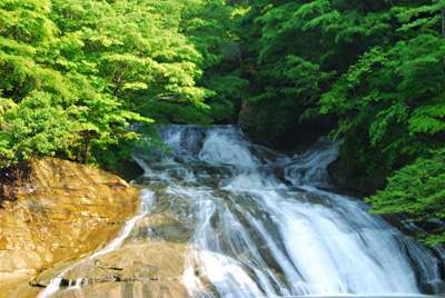 千葉県民の集い