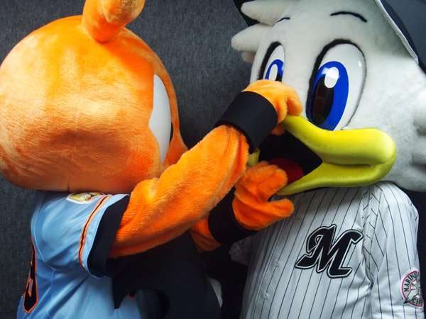 プロ野球マスコットキャラクター達のおもしろ画像