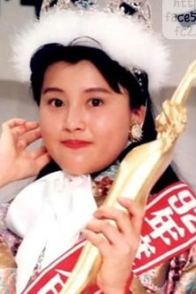 憧れの女優またはモデル
