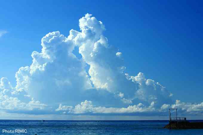 日本の夏を感じさせる画像
