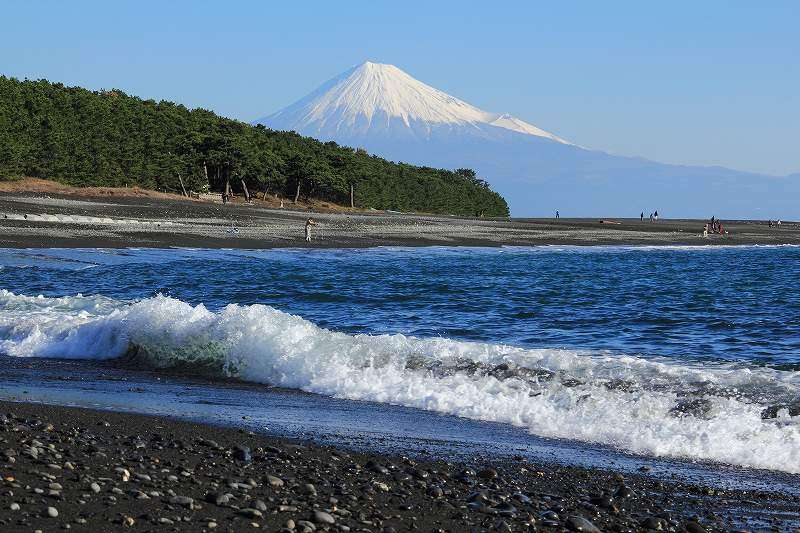 静岡県民の集い